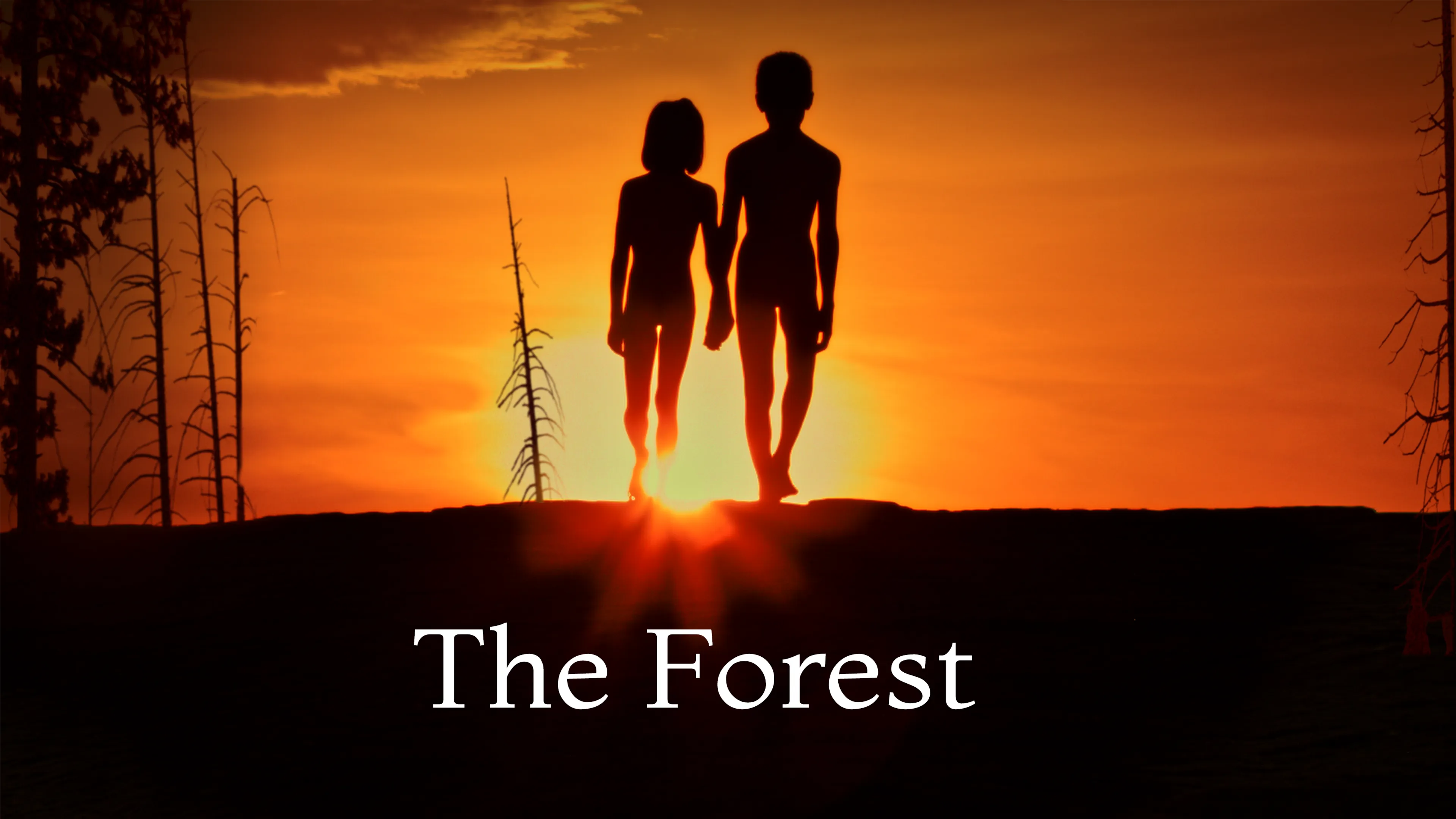 The Forest poster